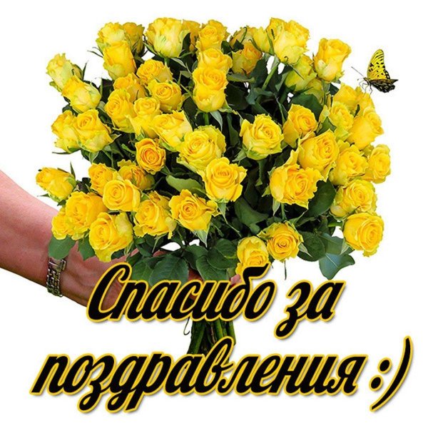 букет желтых роз