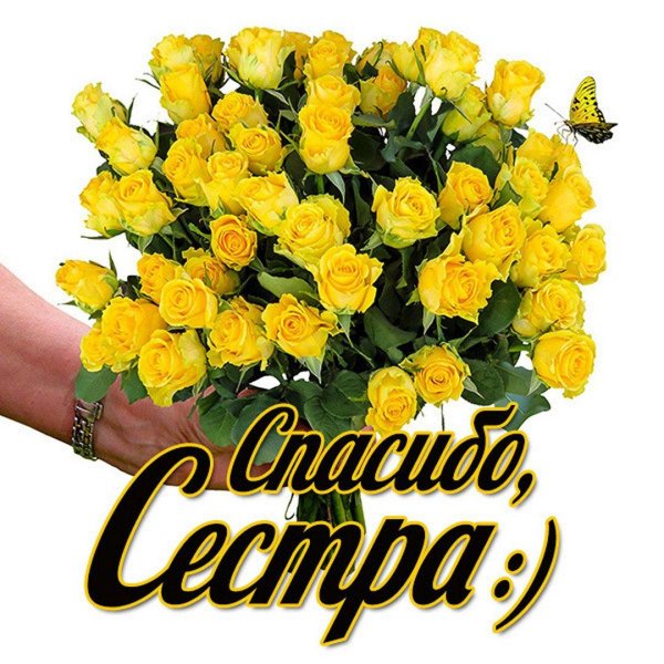 спасибо дорогая