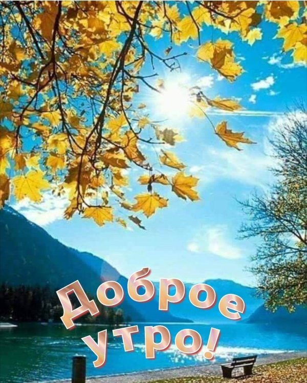доброе утро природа осень