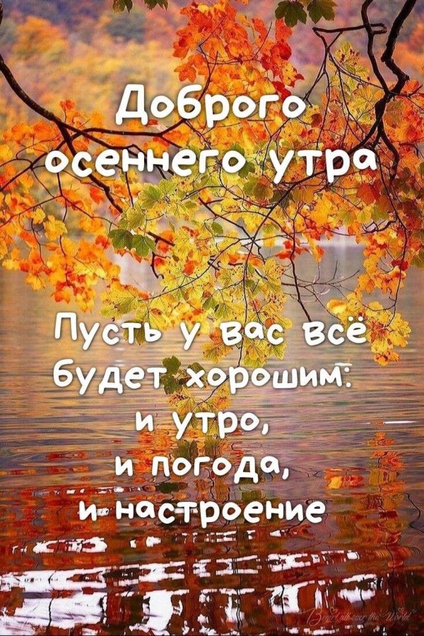 утро осеннее