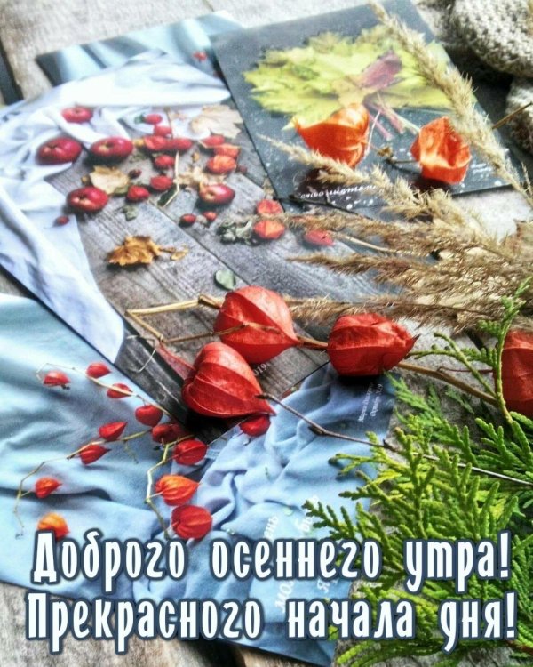 поздняя осень доброе утро