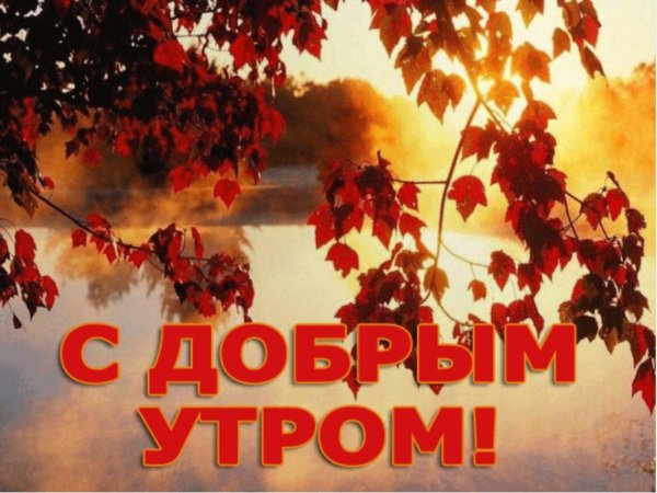 осеннего утра доброго