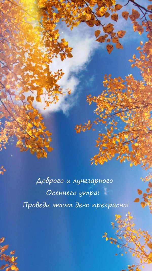 осеннее утро открытки