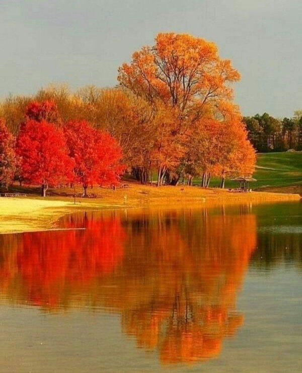 природа осенняя