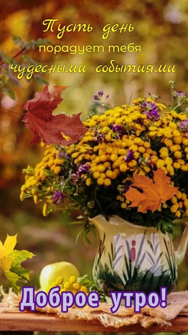 доброе утро осенью