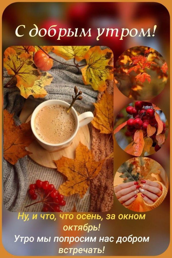 утро осеннее