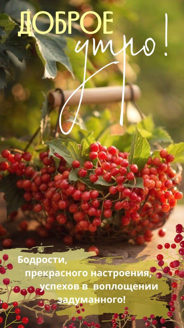 утро осени доброе