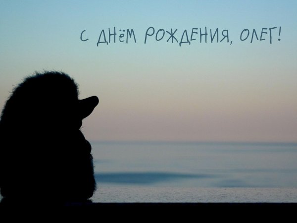 олега с днем рождения