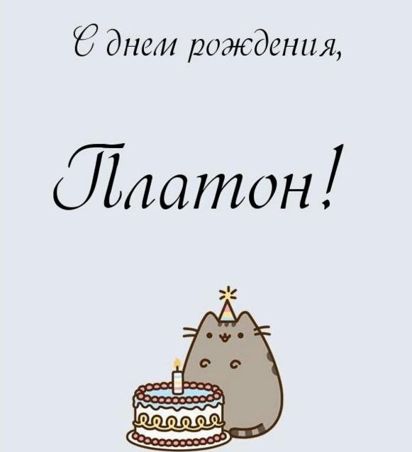 кот пушин др