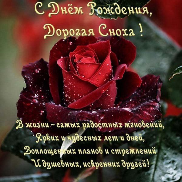 с днём рождения снохе красивые поздравления