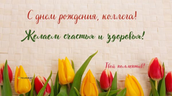 баннер тюльпаны