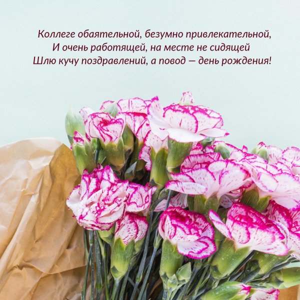 букет гвоздик