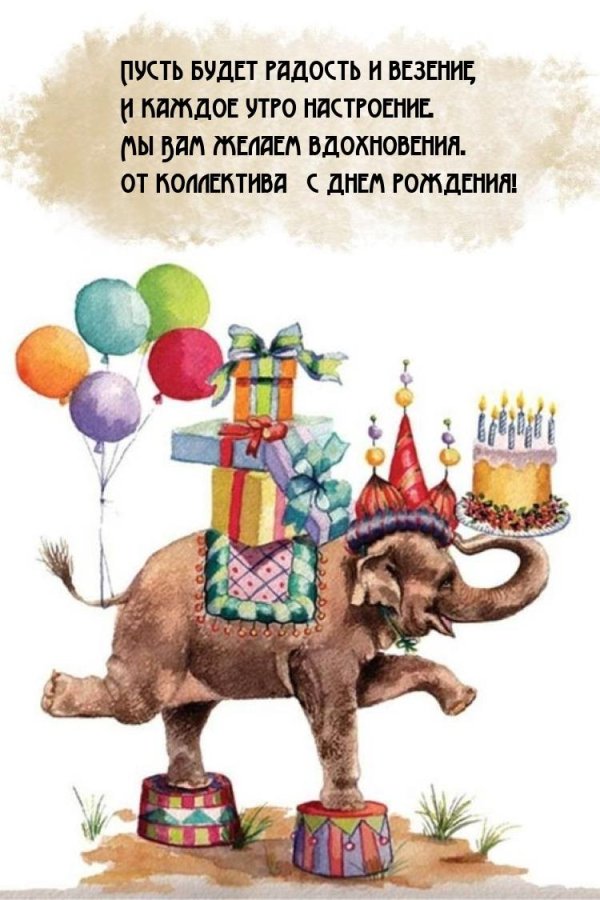 слон в цирке