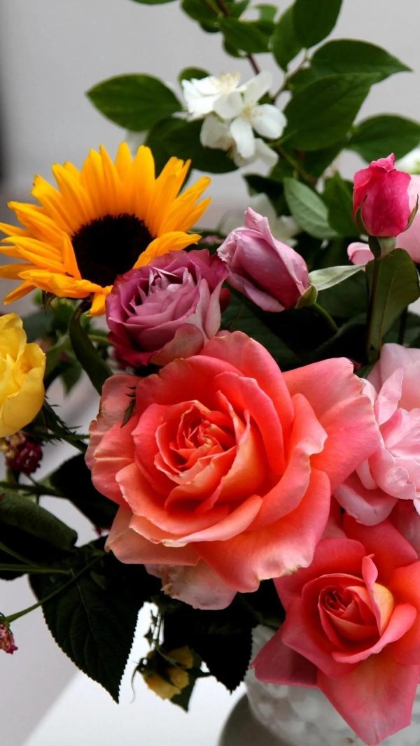 открытки с цветами красивые