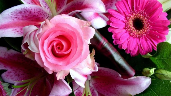 цветок красивый