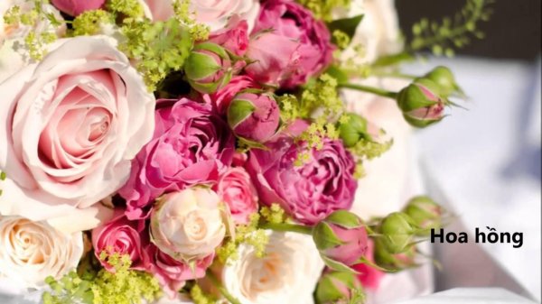 нежные букеты цветов