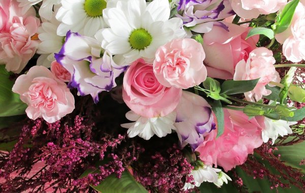 роза эустома