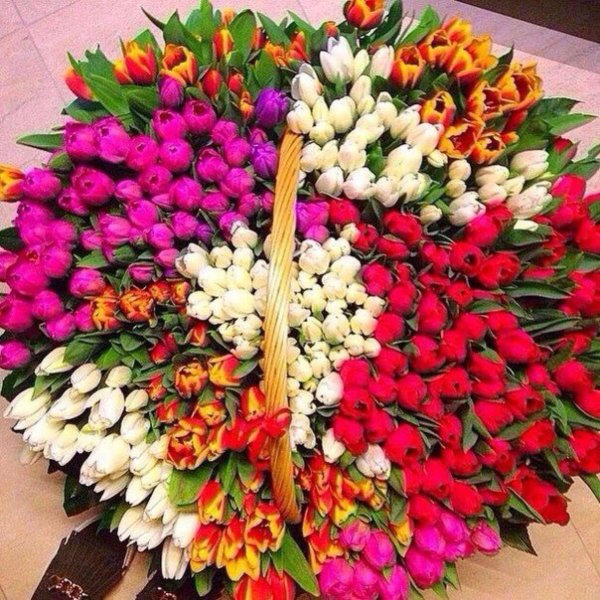 большие букеты тюльпанов