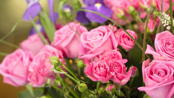 розовые букеты