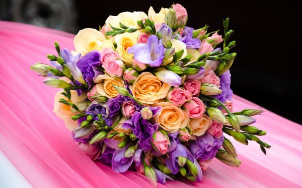 фрезия букет