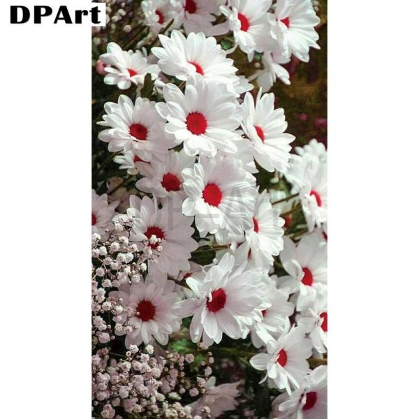 перикаллис цинерария