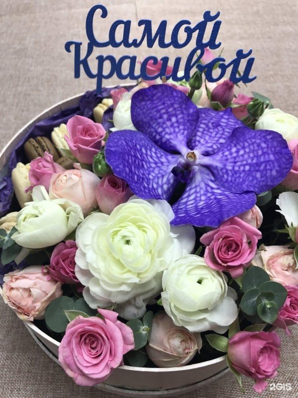 орхидея ванда голубая