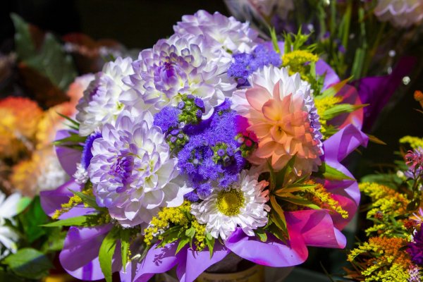 букет шикарный цветов