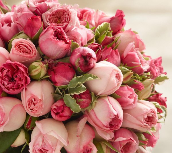 букет шикарный