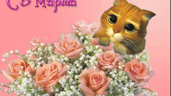 международный женский день 8 марта поздравление