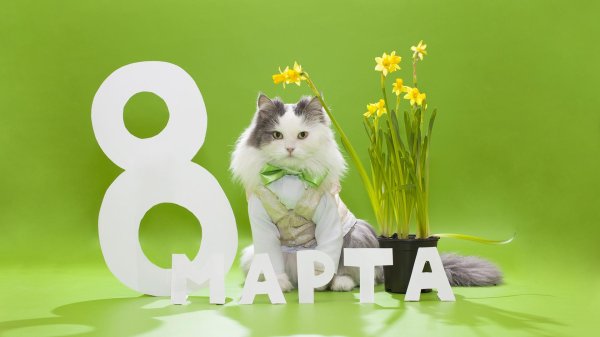 к 8 марта