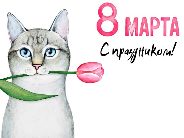 с восьмым марта котики