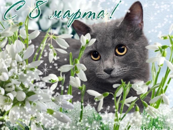 с первым днем весны поздравление