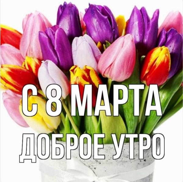 Смешные с 8 марта с цветами