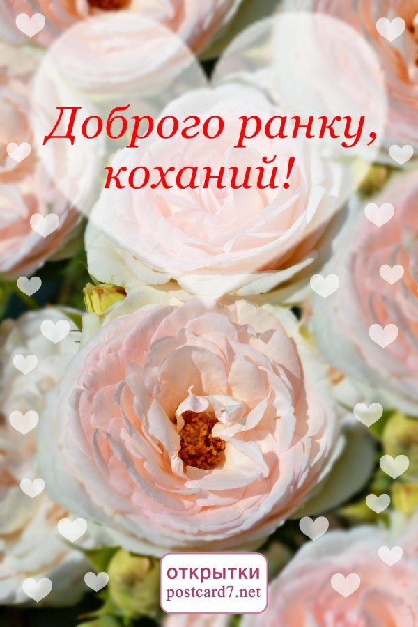 доброго ранку