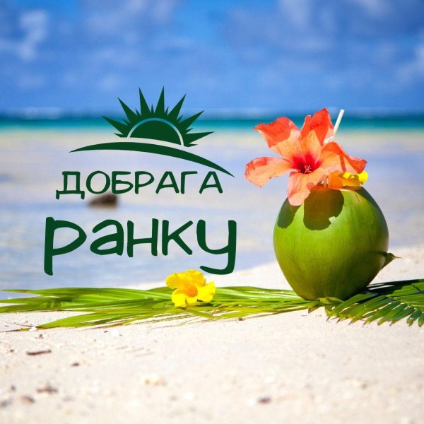 море пляж цветы