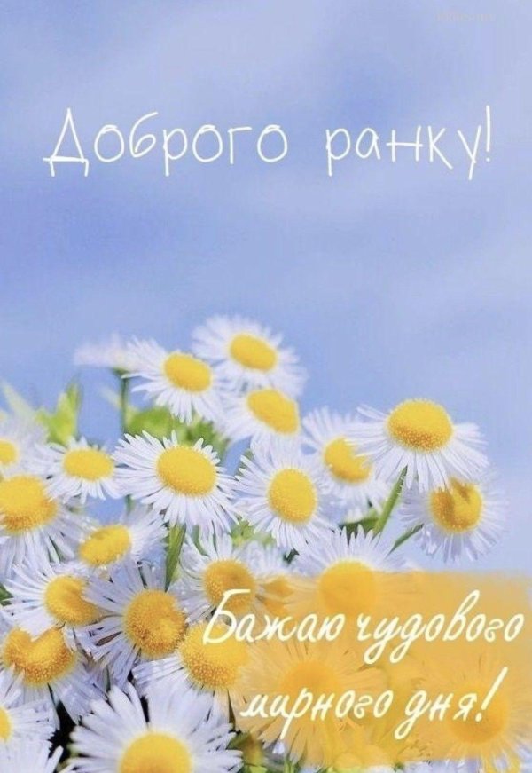 с ромашками