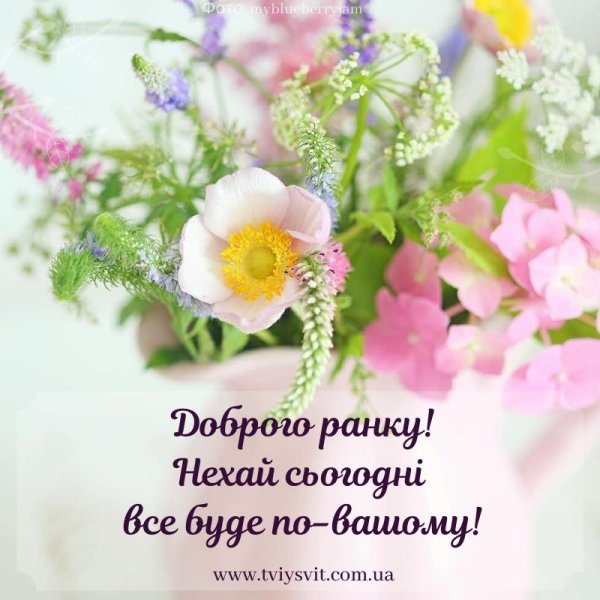 доброе утро лето