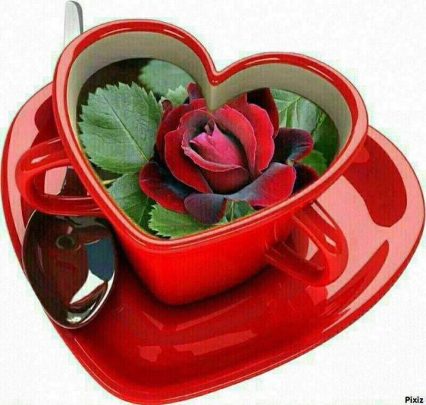 хэерле иртэ