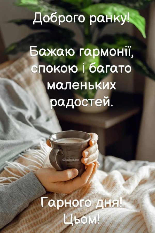 добрий ранок