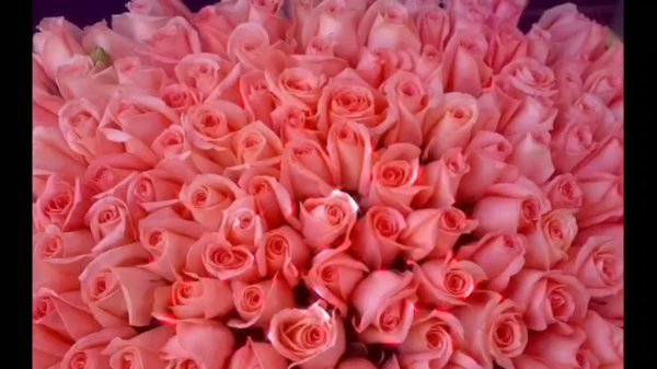 красивые большие букеты