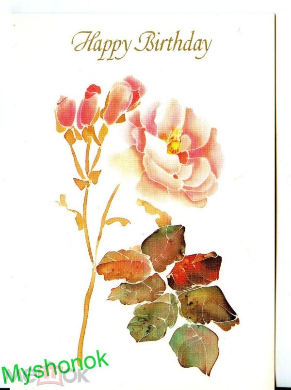 катарина кляйн розы