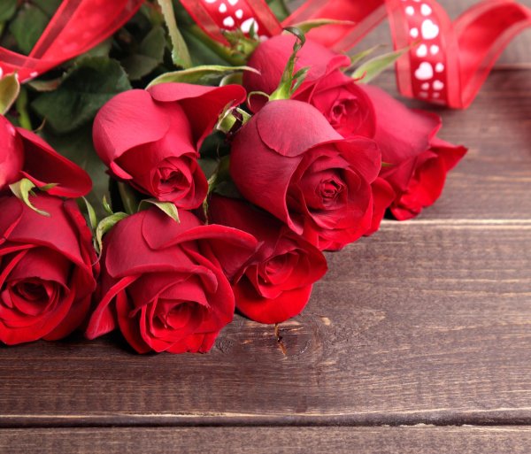 цветы красные розы
