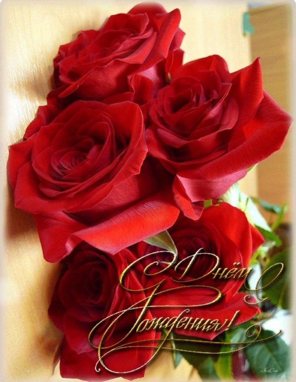розы поздравление