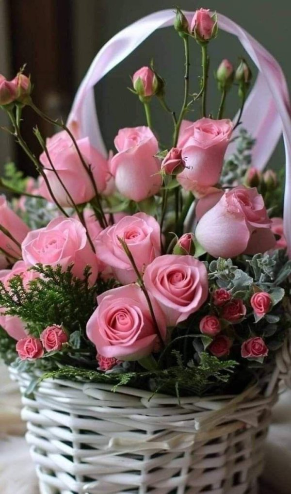 красивая цветы