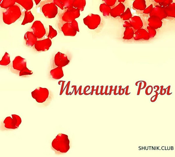 лепестки роз