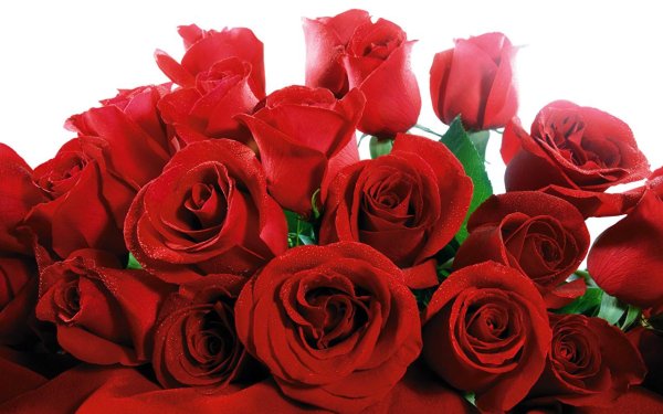 день рождение