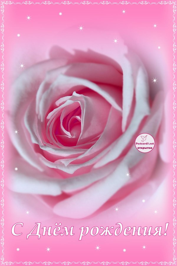 розочка с днём рождения открытки красивые