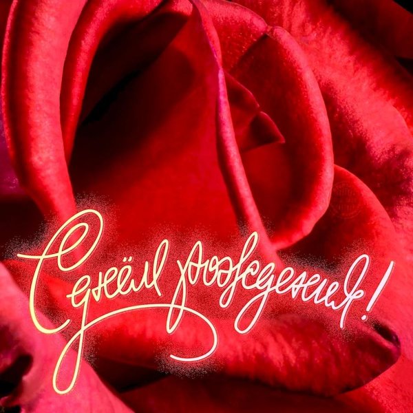 красная розочка