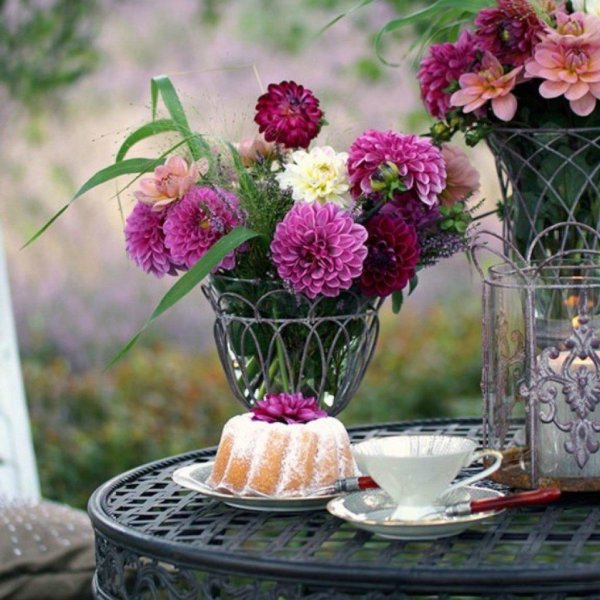 доброе утро георгины