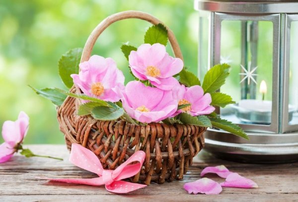 цветочки в корзиночке